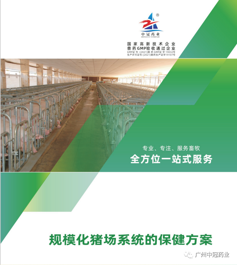 中冠藥業(yè) ——規(guī)模化豬場全方位一站式服務(wù)